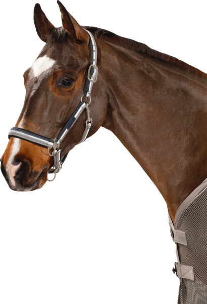 Eskadron Striped Classic Sports 21 Headcollar