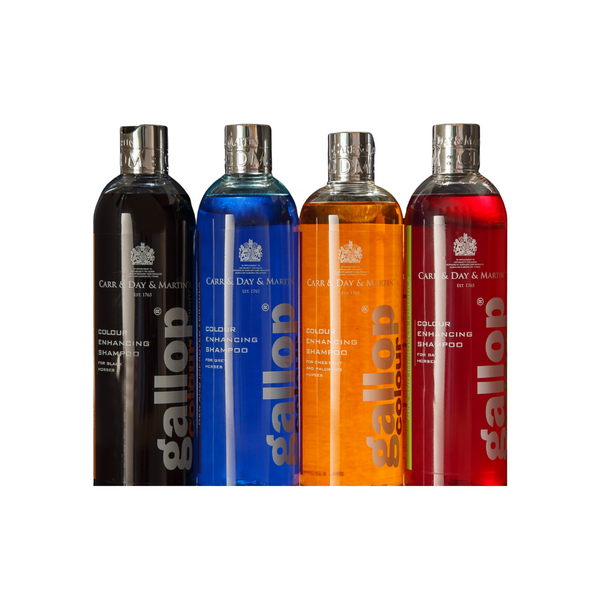 Carr & Day & Martin Gallop Colour Shampoo

Gallop Colour Enhancing Shampoos are uniquely formulated luxury shampoos available for every colour of horse.  The shampoos can be used routinely but are ideal for show preparation for that extra edge. These shampoos use colour enhancers and optical brighteners to intensify the natural coat colour to a showring standard.