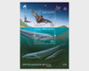 AZORES (2021)-Europa- Endangered National Species- Whale & Bat  (1v+s.s.)