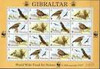 GIBRALTAR ( 1996( WWF BIRD Full Sheet