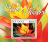 GUYANA: Flowering Plants 2015- Sheet of 4 & s.s. - Yerba Mate- Zebra Plant etc