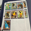 EQUATORIAL GUINEA 42 Older MINT NH BIRD SETS CV$52