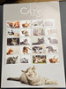 GREAT BRITAIN (2022) CAT Breeds,Oversize Sheet ,LAST ONE