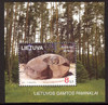 LITHUANIA- Puntukas Stone- souvenir sheet