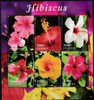 UGANDA: Hibiscus 2014- Sheet of 6