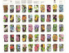 Wild Flowers Issue - Sheet of 50