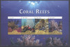 ST. VINCENT (2015): Coral Reefs- Sheet of 4 & Souvenir Sheet
