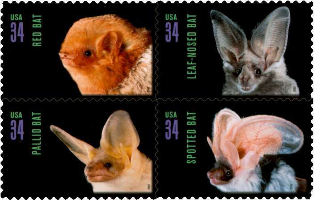 American Bats Postage Stamps