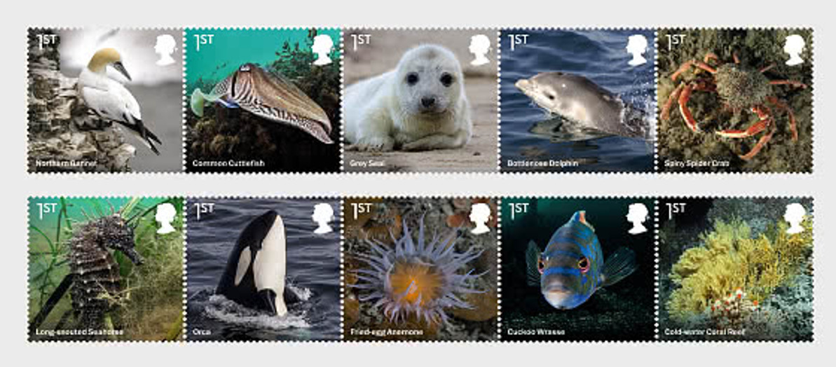 GREAT BRITIAN STAMPS FOCUS ON BIODIVERSITY OF ITS MARINE LIFE & THE MARINE FOOD CHAIN IN A NEW SEASHORE LIFE ISSUE