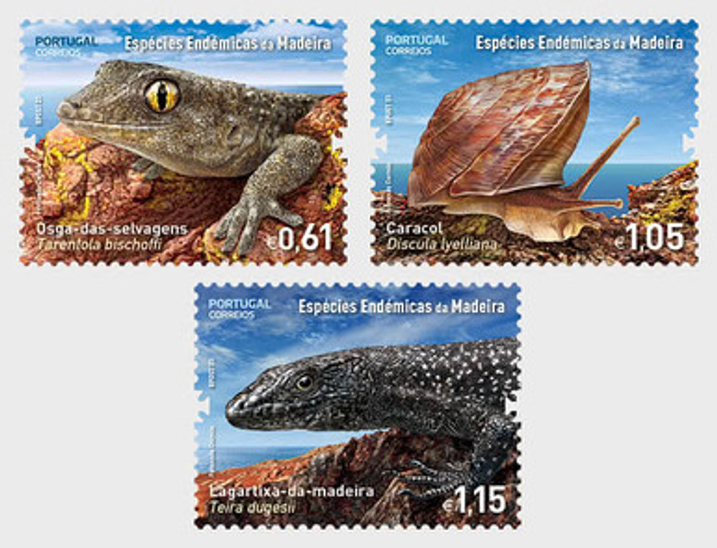 AZORES & MADEIRA FEATURE ENDEMIC SPECIES - CELEBRATE BIODIVERSITY OF NORTH ATLANTIC OCEAN ISLANDS