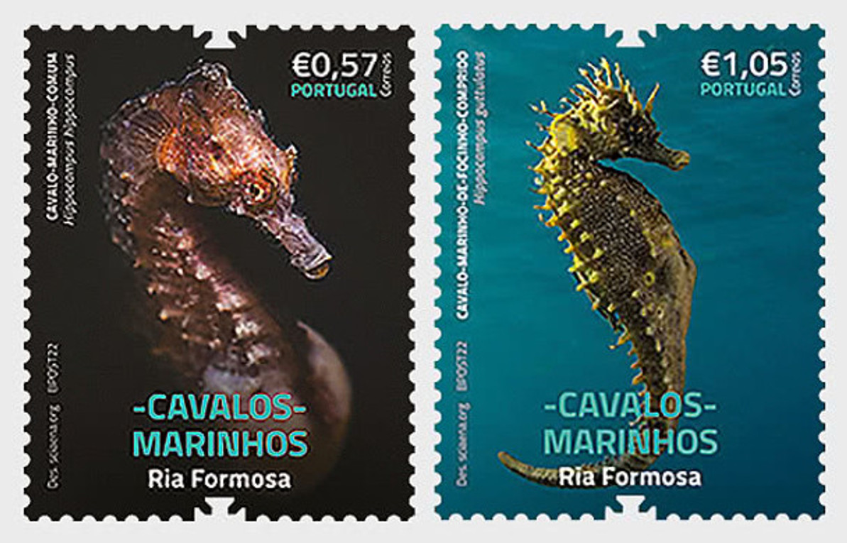 STAMPS CALL ATTENTION TO SAVING THE PORTUGUESE SEAHORSES OF RIO FORMOSA