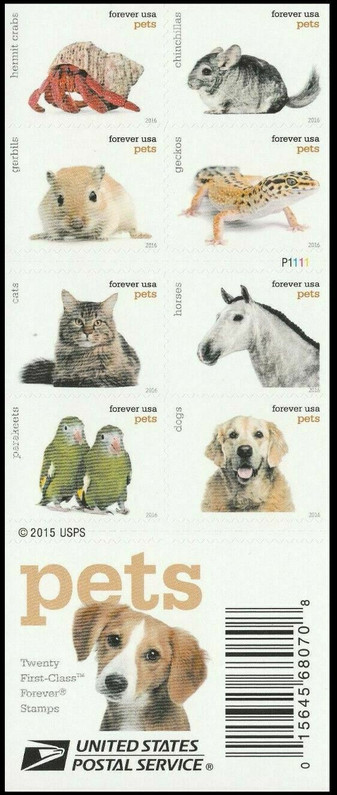 PETS ON STAMPS- GREAT COMPANIONS FOR A COLLECTOR!