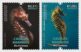 STAMPS CALL ATTENTION TO SAVING THE PORTUGUESE SEAHORSES OF RIO FORMOSA