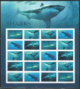USPS FOCUS ON SHARK EDUCATION AND PRESERVATION