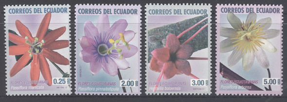 ECUADOR (2011) - Flowers (4)