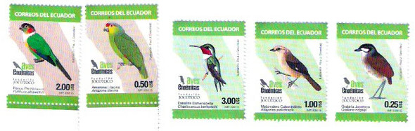 ECUADOR (2015): Bird Conservation Jocotoco (5)