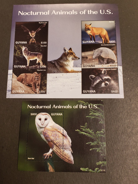 GUYANA (2022) Nocturnal Animal,Owl, Sheet and SS ,OUR RETAIL $44.55 LAST ONE