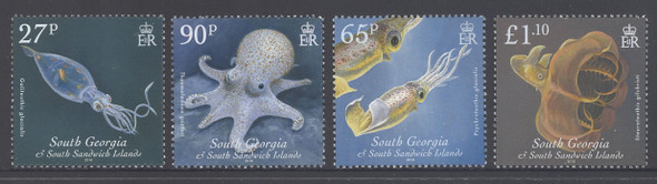SOUTH GEORGIA- Cephalopods- squid- octopus (4)
