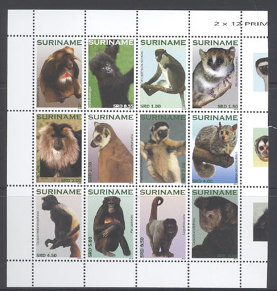 SURINAM- Primates 2010- lemur- gorilla- monkeys- galago etc (12)