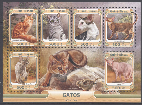 GUINEA BISSAU- Cats 2016- Sheet of 6