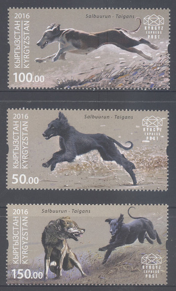 Kyrgyzstan--Hunting Dogs 2016- 3 VALUES