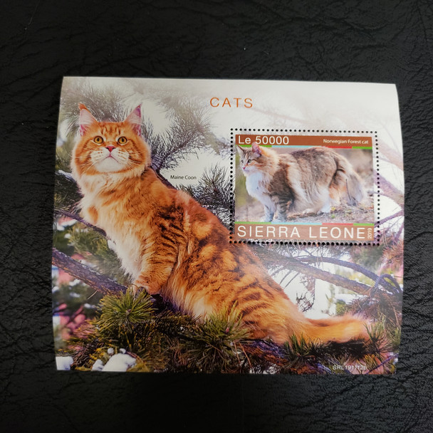 SIERRA LEONE 2019 Maine Coon Cat ,  SS Retail $10.88 LAST ONE