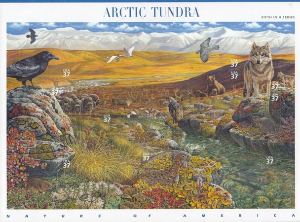 US Nature Series (2003) -Arctic Tundra Sheet #3802