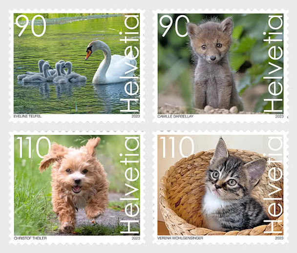 SWITZERLAND (2023)- Cute Animals Photo Competition (4v)- Kittens,Fox, etc.