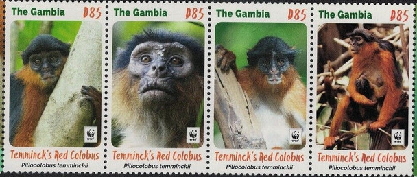 GAMBIA (2016)  WWF Colobus Monkey Strip of 4v