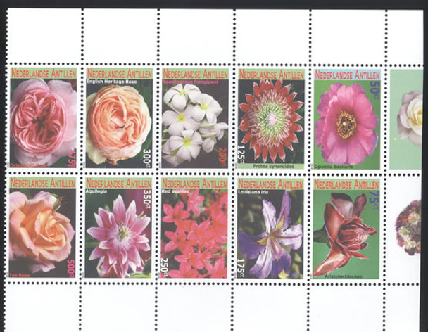 NETHERLANDS ANTILLES- Flowers 2010 (10)