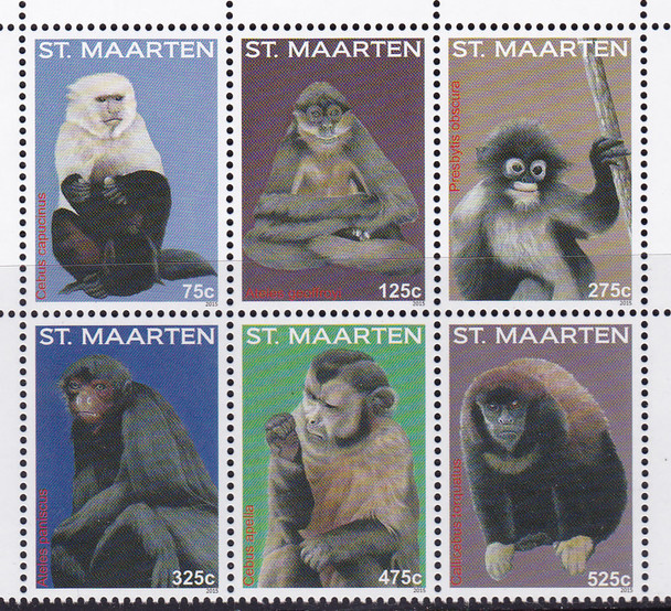 NETHERLANDS ANTILLES- ST MAARTEN Monkeys 2015 (6)