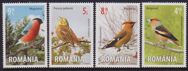 ROMANIA: Songbirds 2015 (4)