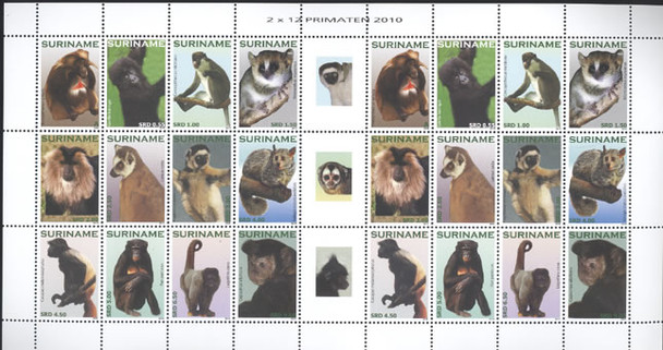 SURINAM- Primates 2010- mini-sheet of 2 sets