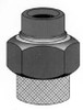 Pasco - 2594 - DIEL UNION 3/4-inch FIPx3/4-inch CWT