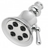 Speakman S-2254 - Anystream® Signature Brass Retro Shower Head