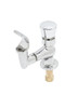T&S Brass - B-2360-03 - Bubbler, Forged Brass Mouth Guard, Push Button Metering Cartridge, Flow Control