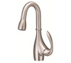 Danze D454746SS - Bellefleur Single Handle Kit, Pull-Down Side Mount Handle - Stainless Steel