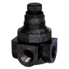 Watts Plumbing Products - 1/4 P60M5-4 0-125 (0363008)