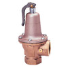 Watts Plumbing Products - 1 1/2 740-035 (0383543)