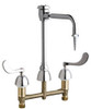 Chicago Faucets - 786-GN2BVBE7CP - Service Sink Faucet