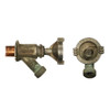 Woodford 17P-10-TK Model 17 Wall Faucet P Inlet 10 Inch, Tee Key