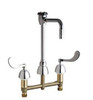 Chicago Faucets - 201-AGN2BVBE7-317ABCP - Service Sink Faucet