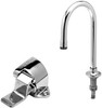 T&S Brass - B-2464 - Single Pedal Valve and Dummy Rigid Gooseneck w/Rosespray