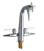 Chicago Faucets - 1332-E22E7-204CP - Laboratory Dual Service