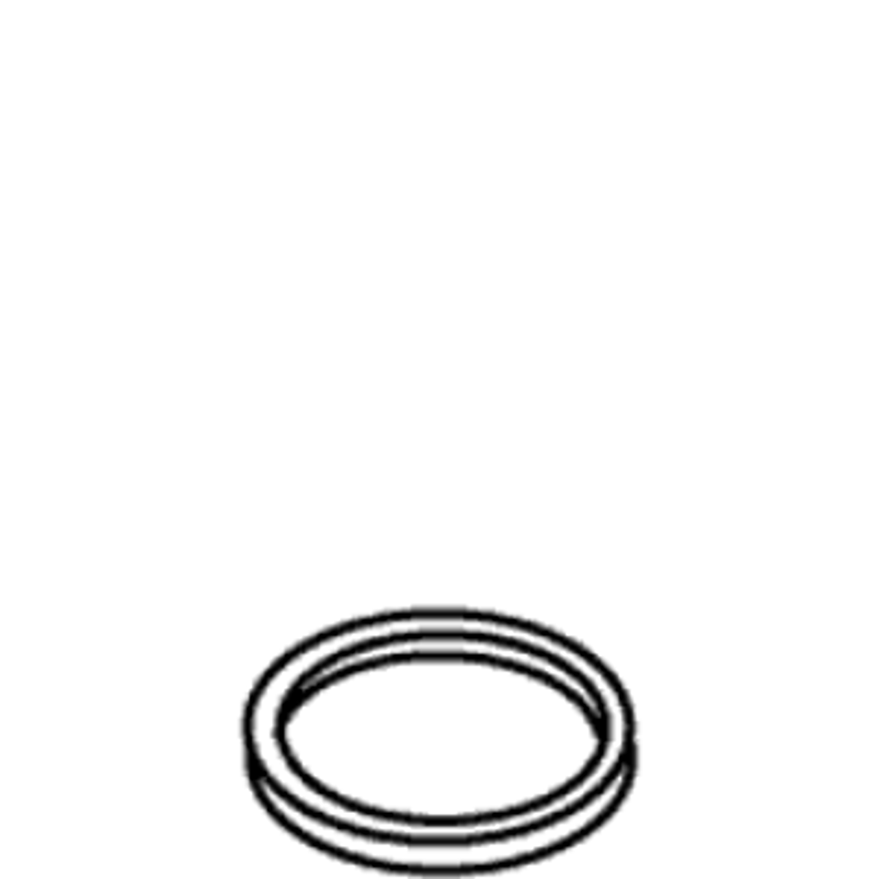 Speakman 45-0430 - Nylon Washer