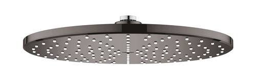 Grohe 26569A00 RSH 310 MONO HEADSHOWER 6,6L