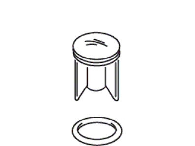 Kohler 21318-SN - Polish Nickel Stopper