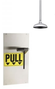 Speakman SE-238-SM - Wall mounted deluge shower, extended 8-inch showerhead for ceilings over 8’, surface-mounted wall activator.