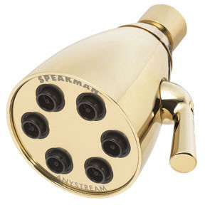 Speakman S-2252-PB - Anystream? Icon 48 Spray Showerhead, Polished Brass