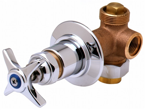 T&S Brass - B-1025-UCP - Concealed Straight Valve, Union Coupling Inlet, 1/2-inch NPT Female Outlet, Push Button Cartri